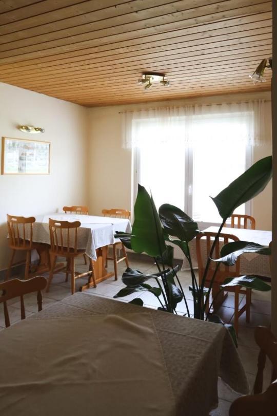 בלד Apartments-Rooms Kocijancic מראה חיצוני תמונה